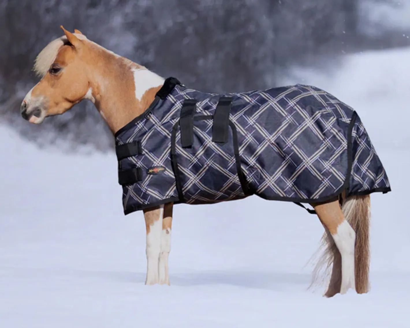 KENSINGTON ™ Signature Mini Heavyweight Turnout Blanket