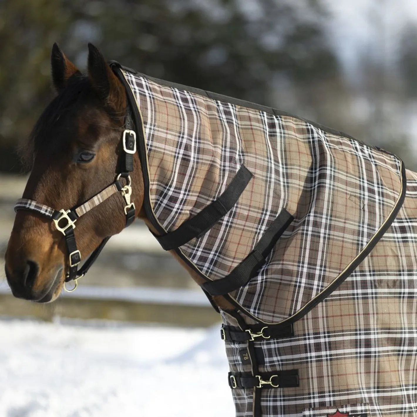 KENSINGTON ™ SuperMesh 300 Gram Heavyweight Neck Warmer