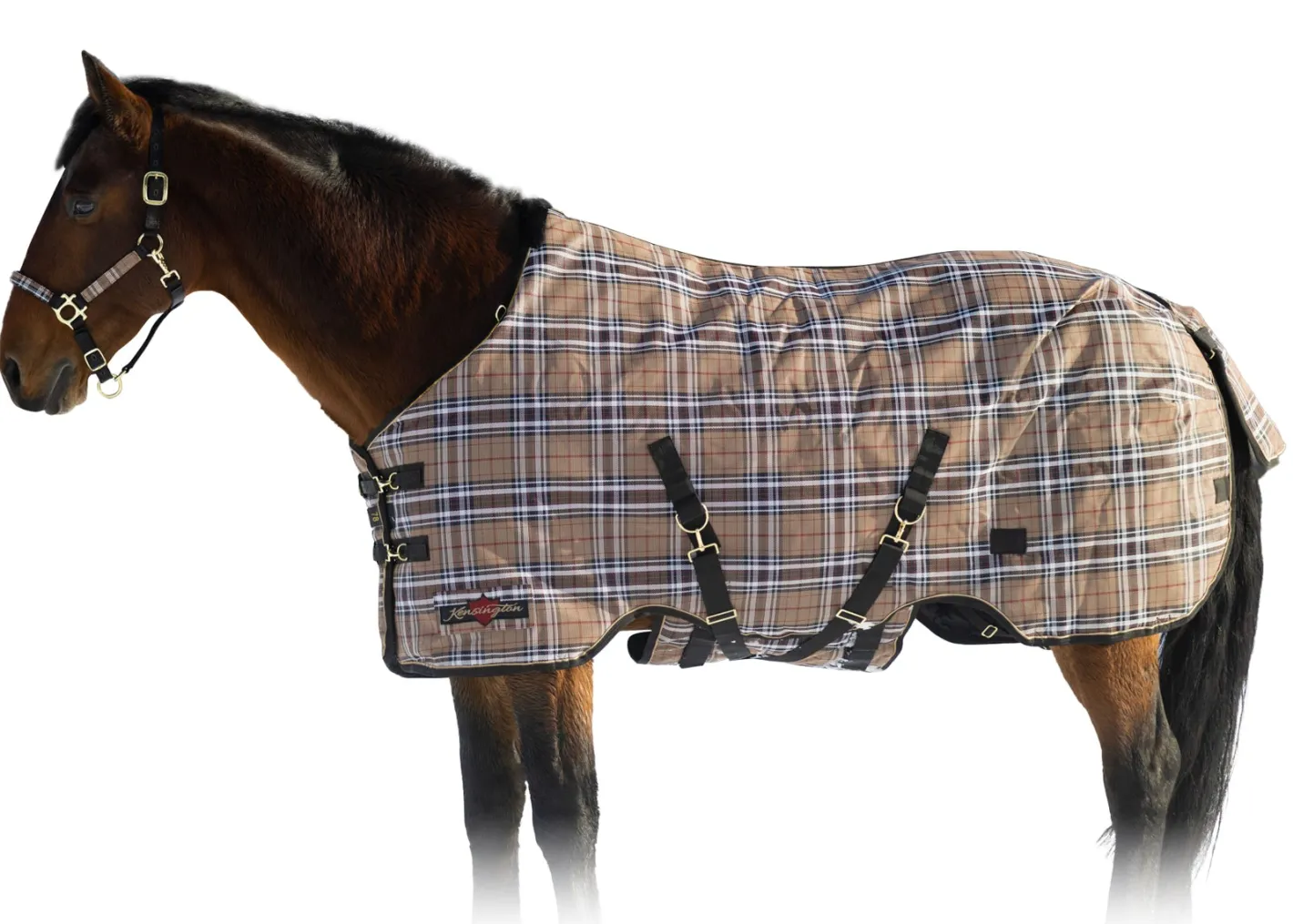 KENSINGTON ™ SuperMesh 180 Gram Medium-Weight Turnout Blanket