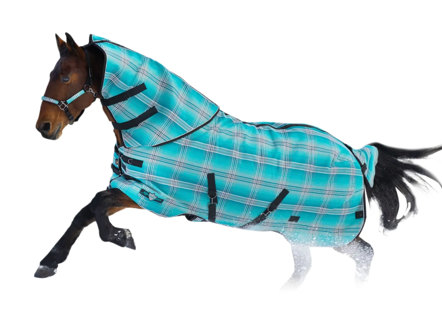 KENSINGTON ™ SuperMesh 180 Gram Medium-Weight Turnout Blanket