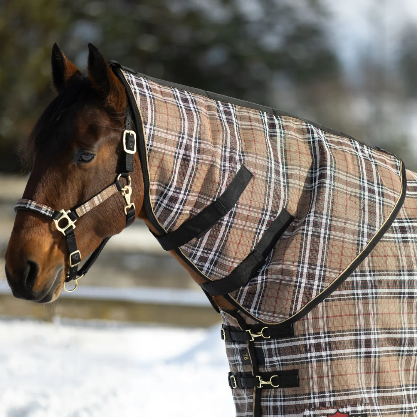 KENSINGTON ™ SuperMesh 180 Gram Medium-Weight Neck Warmer