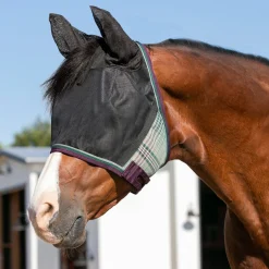 KENSINGTON ™ UViator CatchMask Protective Mask with Ears & Forelock Opening