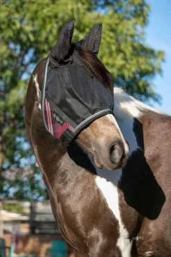 KENSINGTON ™ UViator CatchMask Protective Mask with Ears & Forelock Opening