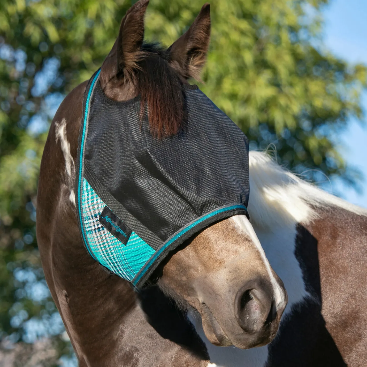 KENSINGTON ™ UViator CatchMask® with Web Trim