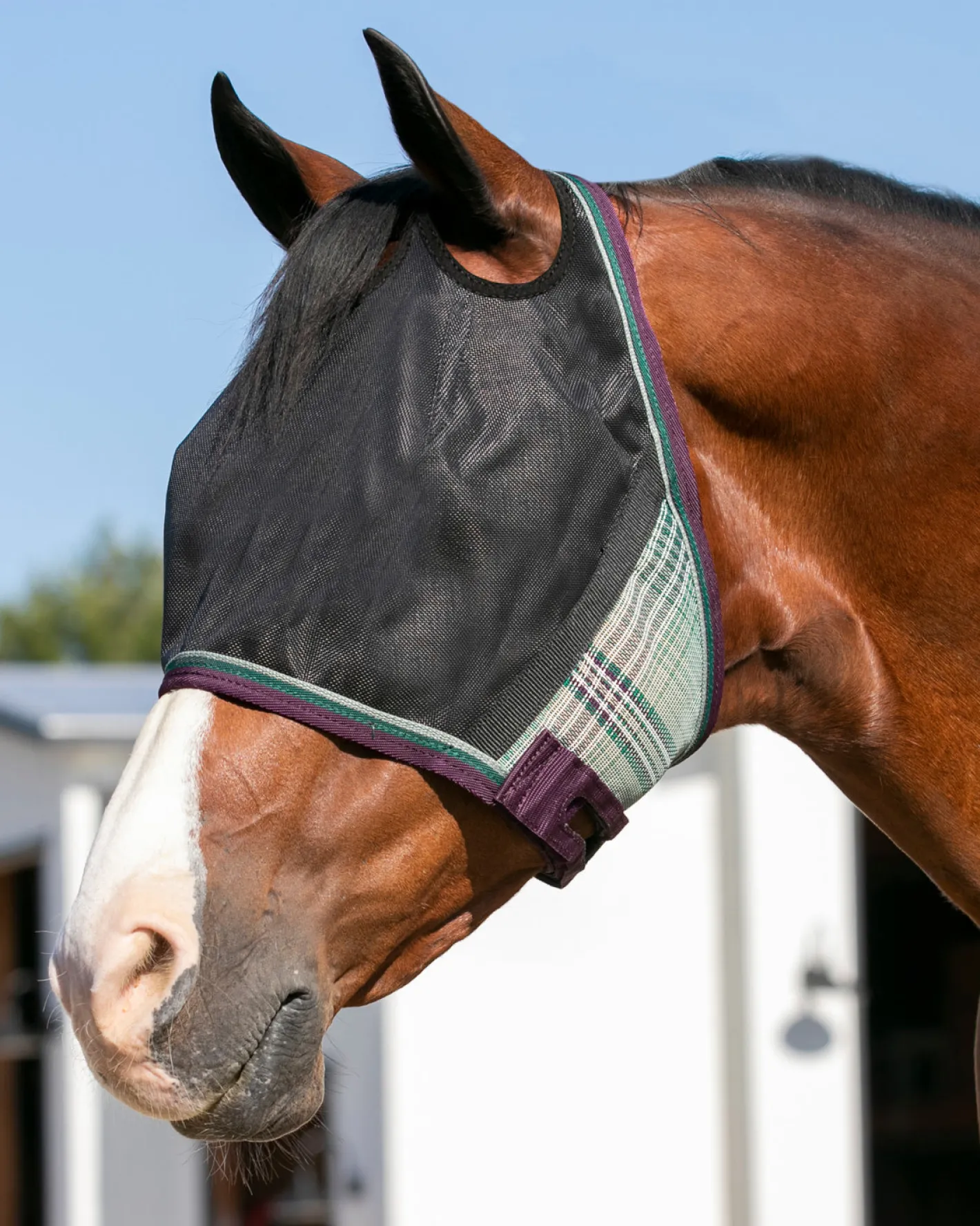 KENSINGTON ™ UViator CatchMask® with Web Trim