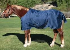 KENSINGTON ™ XL Signature Medium-Weight Turnout Blanket