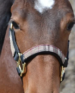 KENSINGTON ™ Premium Halter