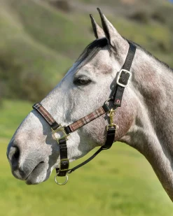 KENSINGTON ™ Premium Halter