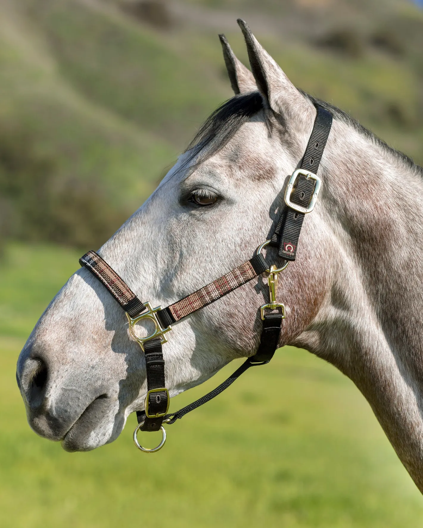 KENSINGTON ™ Premium Halter