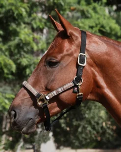 KENSINGTON ™ Premium Halter