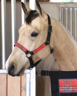 KENSINGTON ™ Premium Halter