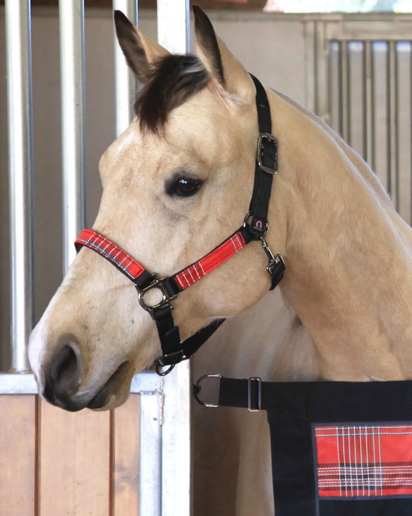 KENSINGTON ™ Premium Halter