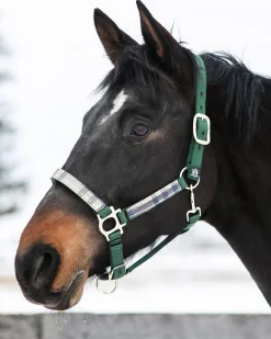 KENSINGTON ™ Premium Halter