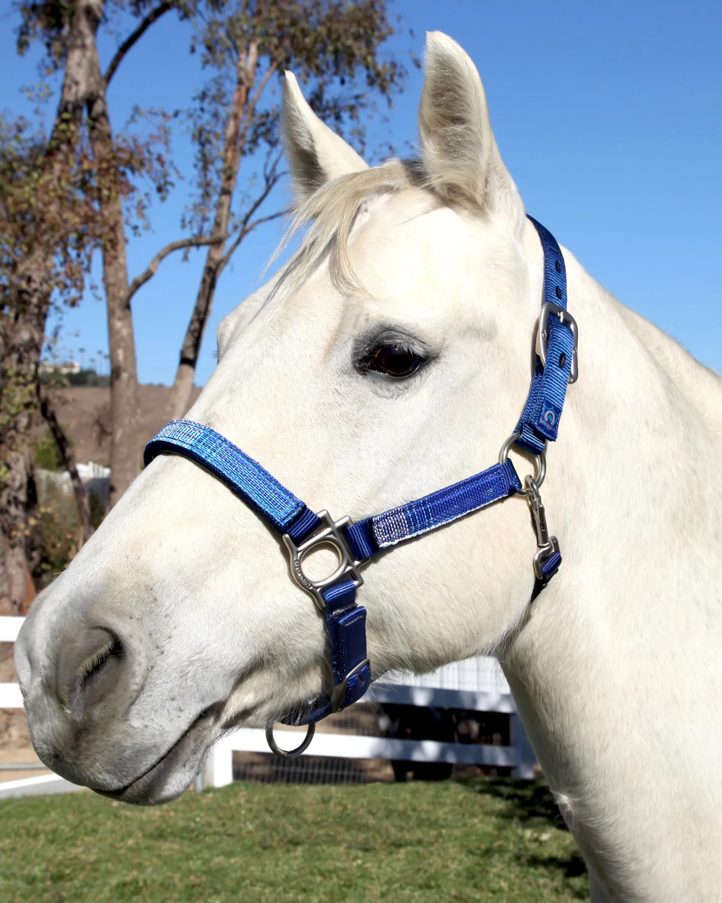 KENSINGTON ™ Premium Halter