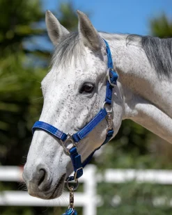 KENSINGTON ™ Premium Halter