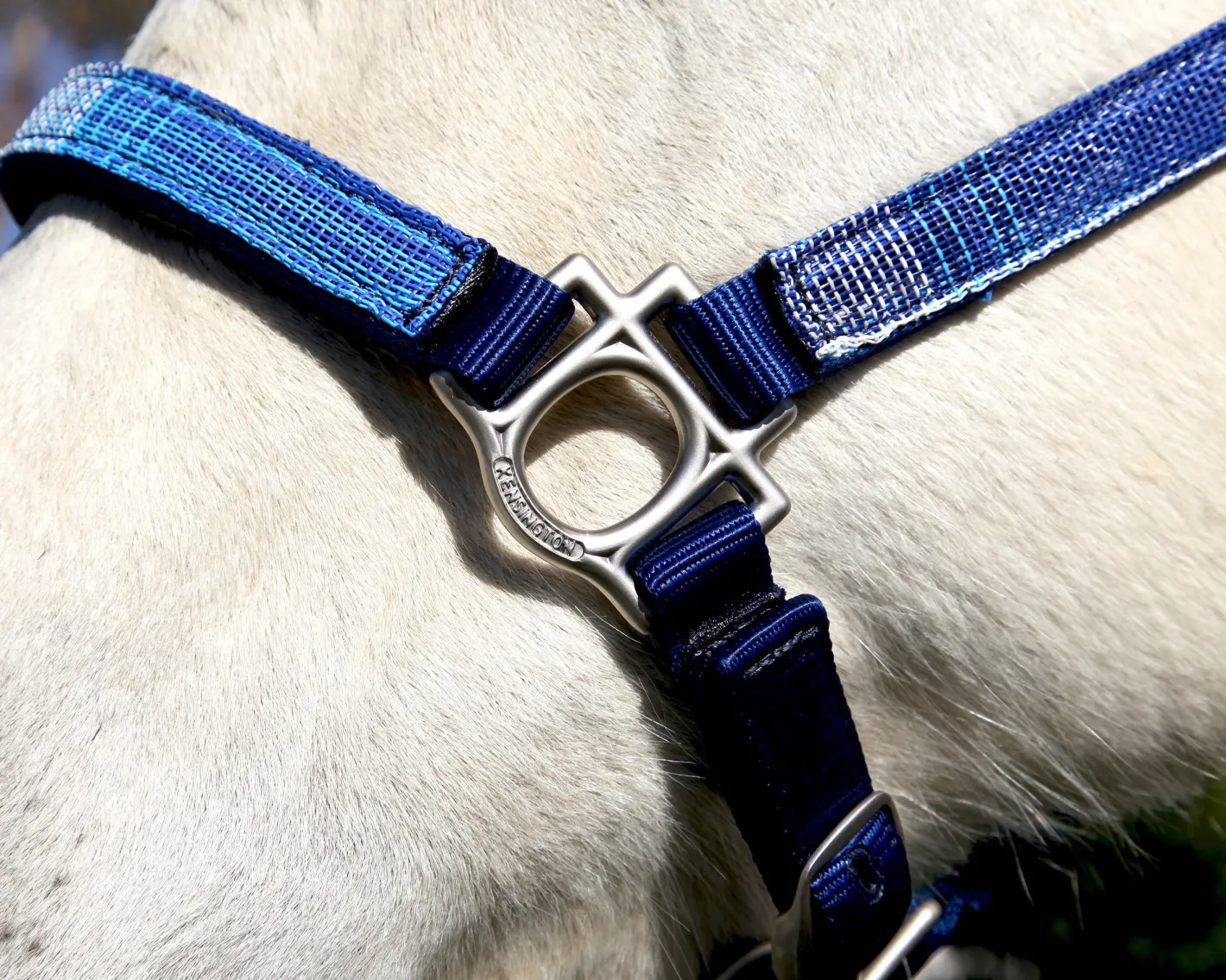 KENSINGTON ™ Premium Halter