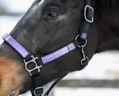 KENSINGTON ™ Premium Halter