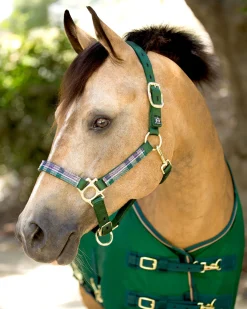 KENSINGTON ™ Premium Halter