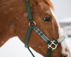 KENSINGTON ™ Premium Halter
