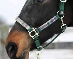 KENSINGTON ™ Premium Halter