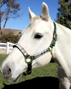 KENSINGTON ™ Premium Halter