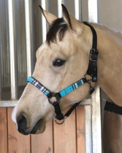 KENSINGTON ™ Premium Halter