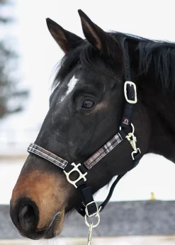 KENSINGTON ™ Premium Halter