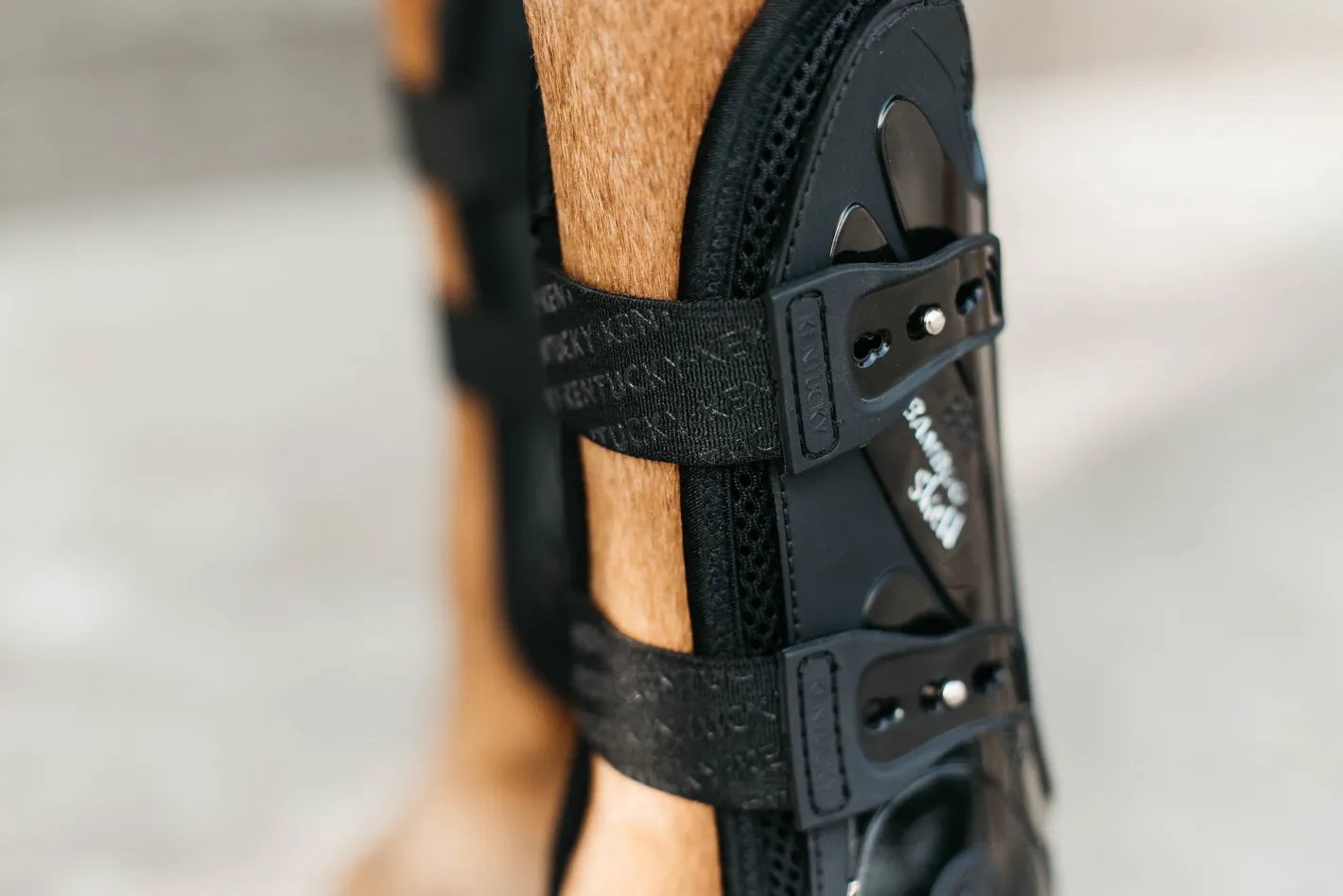KENTUCKY HORSEWEAR Bamboo Elastic Tendon Boots