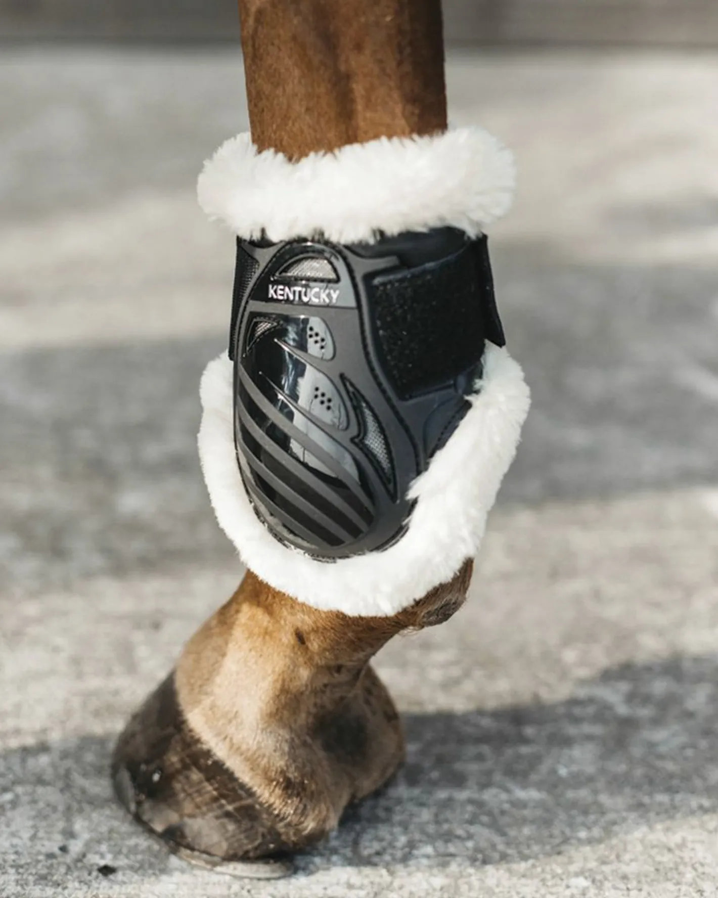 KENTUCKY HORSEWEAR Vegan Sheepskin Young Horse Fetlock Boots