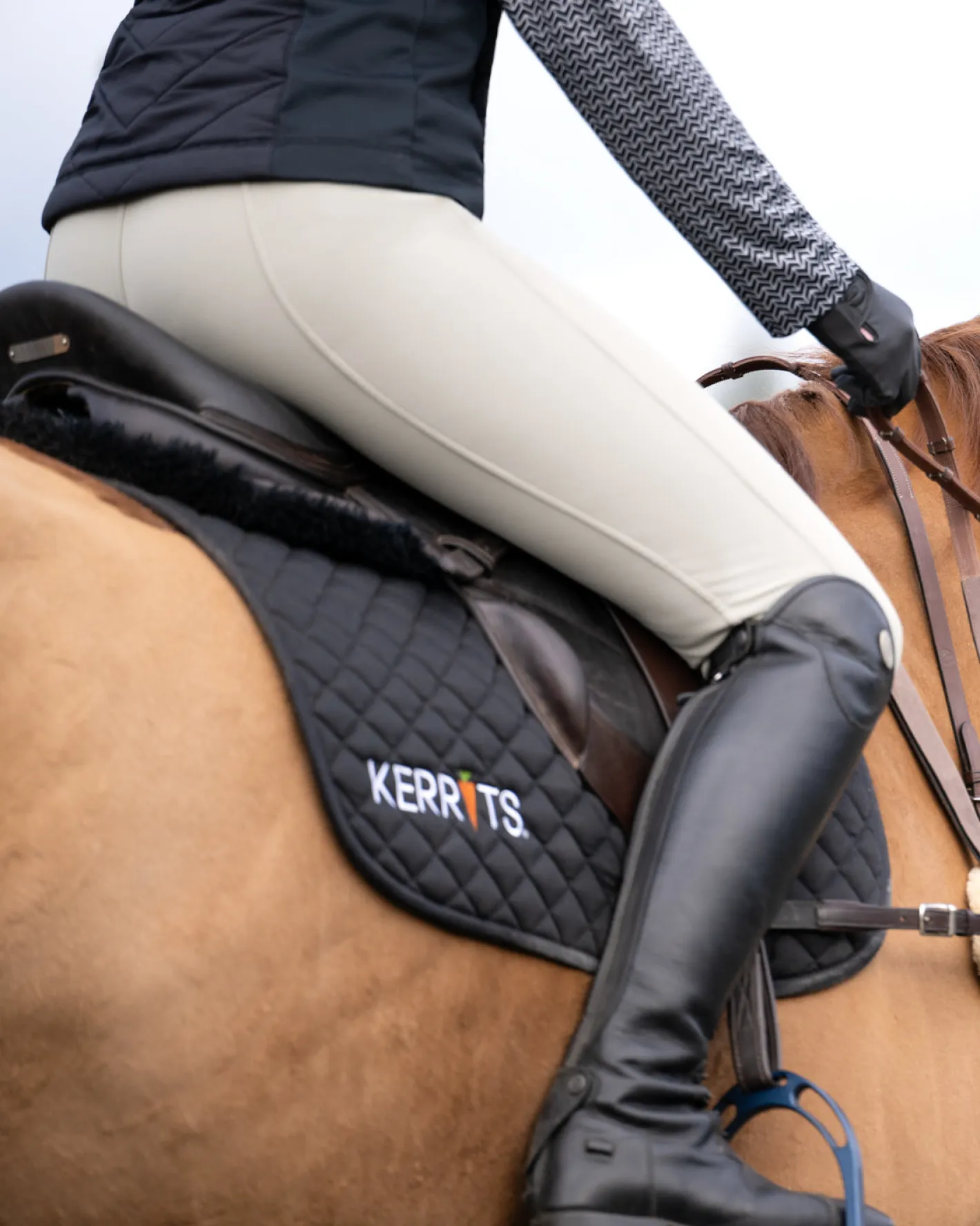 KERRITS Ladies' Three-Season Tailored Breech
