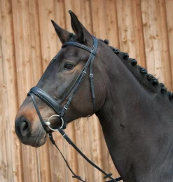 KIEFFER SATTLERWAREN Kieffer Ergonomic III Snaffle Bridle