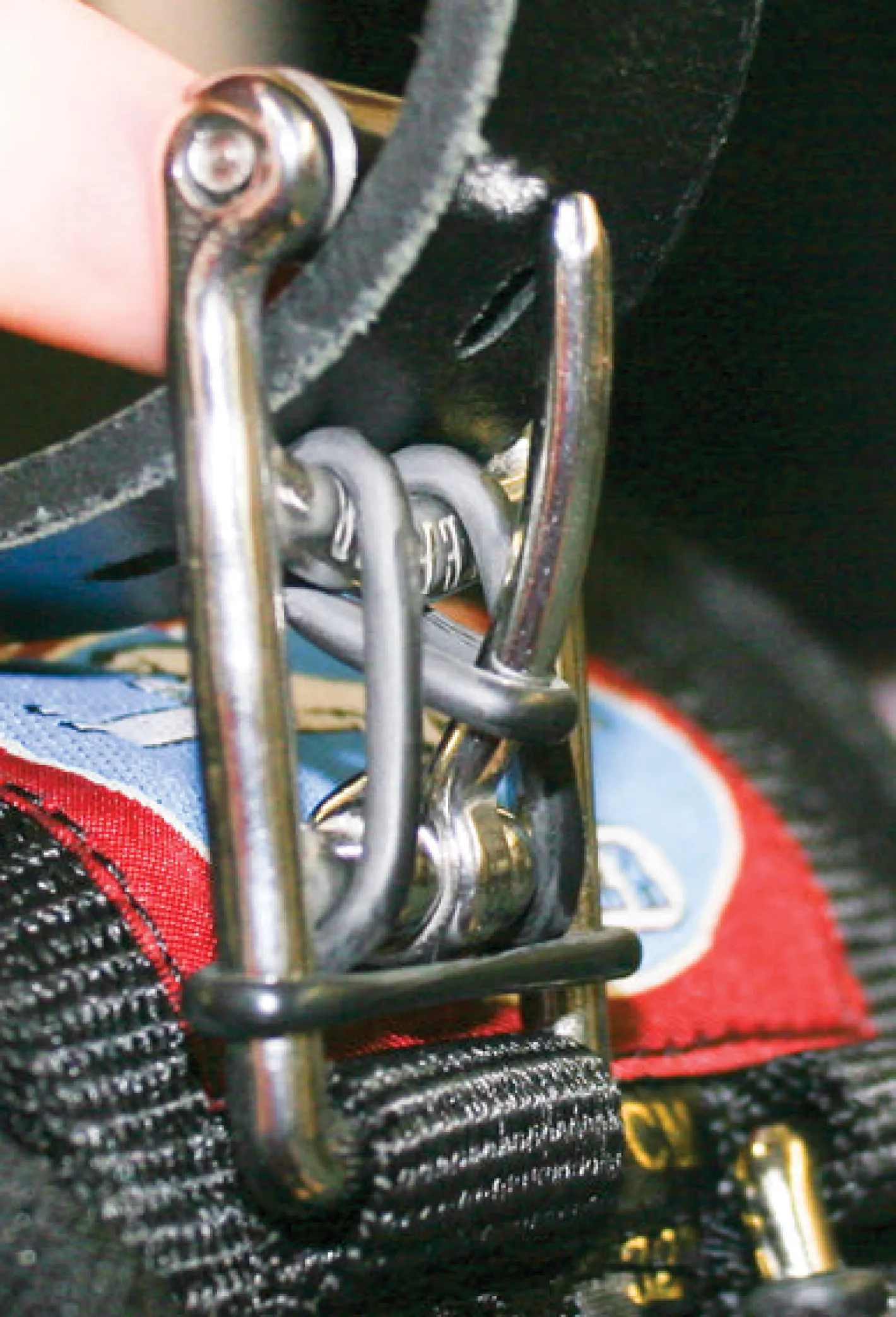 KIEFFER SATTLERWAREN Kieffer Neoprene Girth