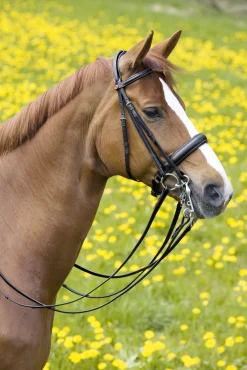 KIEFFER SATTLERWAREN Kieffer Padded Ergonomic Line II Double Bridle