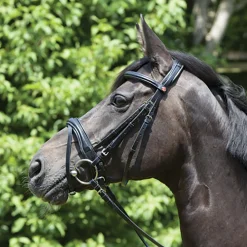 KIEFFER SATTLERWAREN Kieffer Perseus Clincher Snaffle Bridle