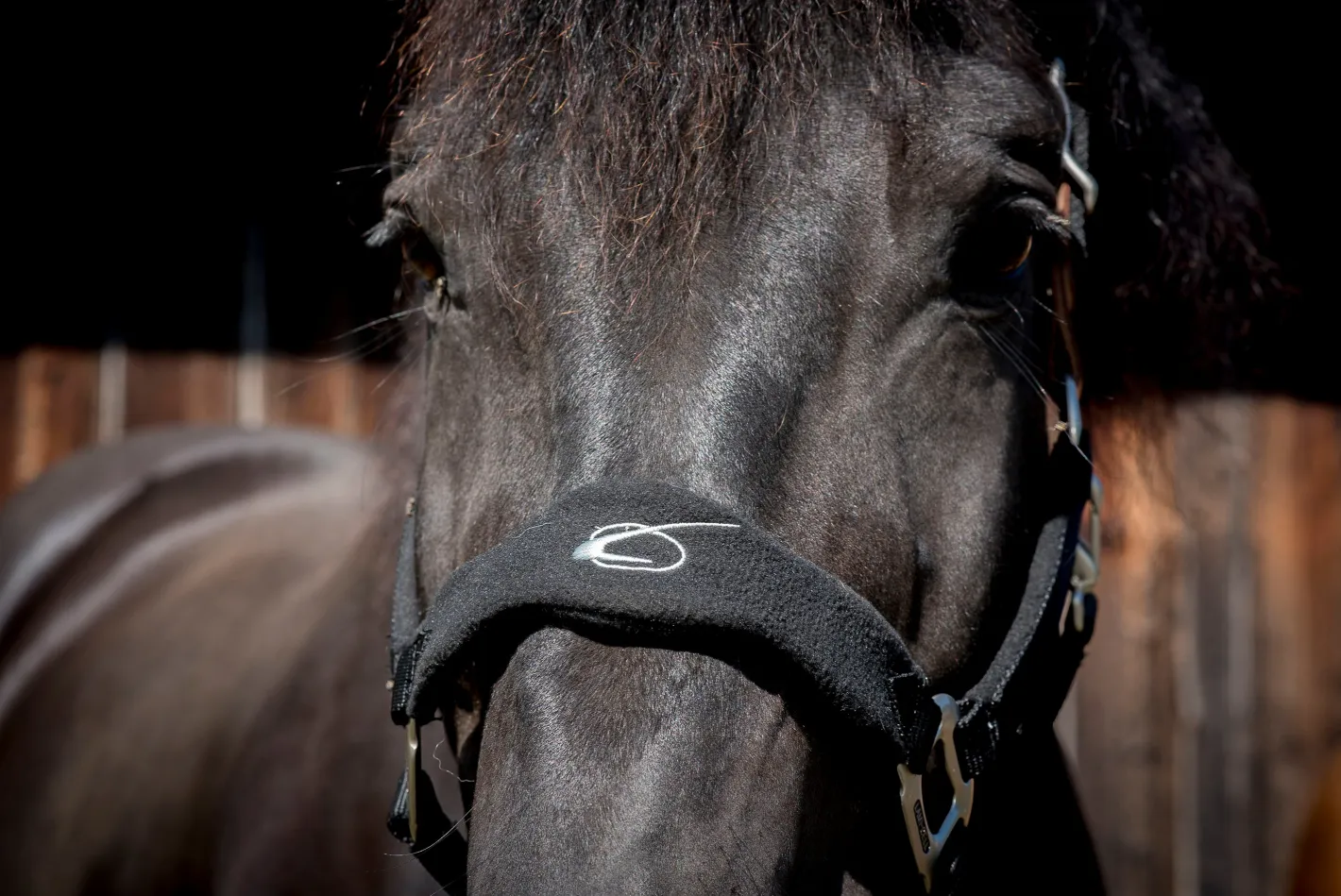PARTRADE Lami-Cell Fleece-Lined Halter