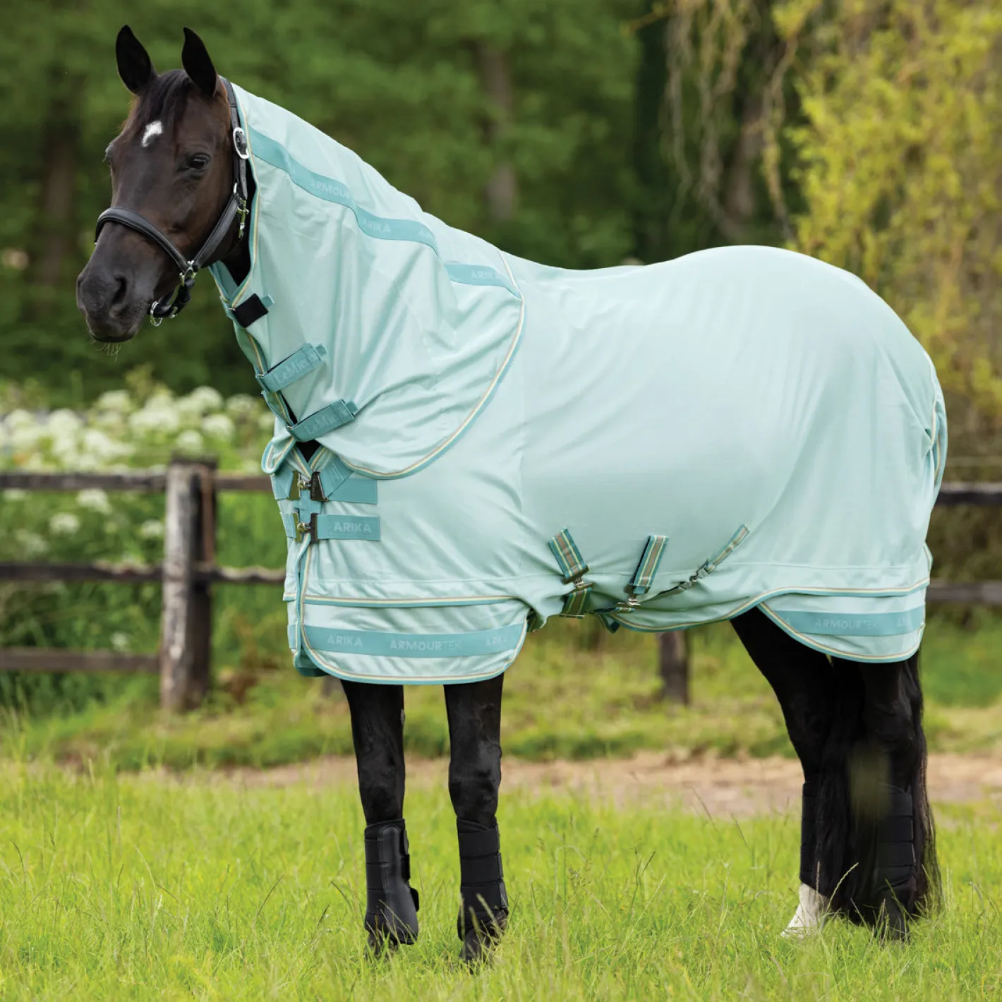 HORSE HEALTH TRADE LeMieux® Arika Armour-Tek Fly Sheet