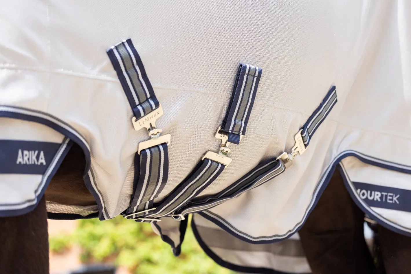 HORSE HEALTH TRADE LeMieux® Arika Armour-Tek Fly Sheet