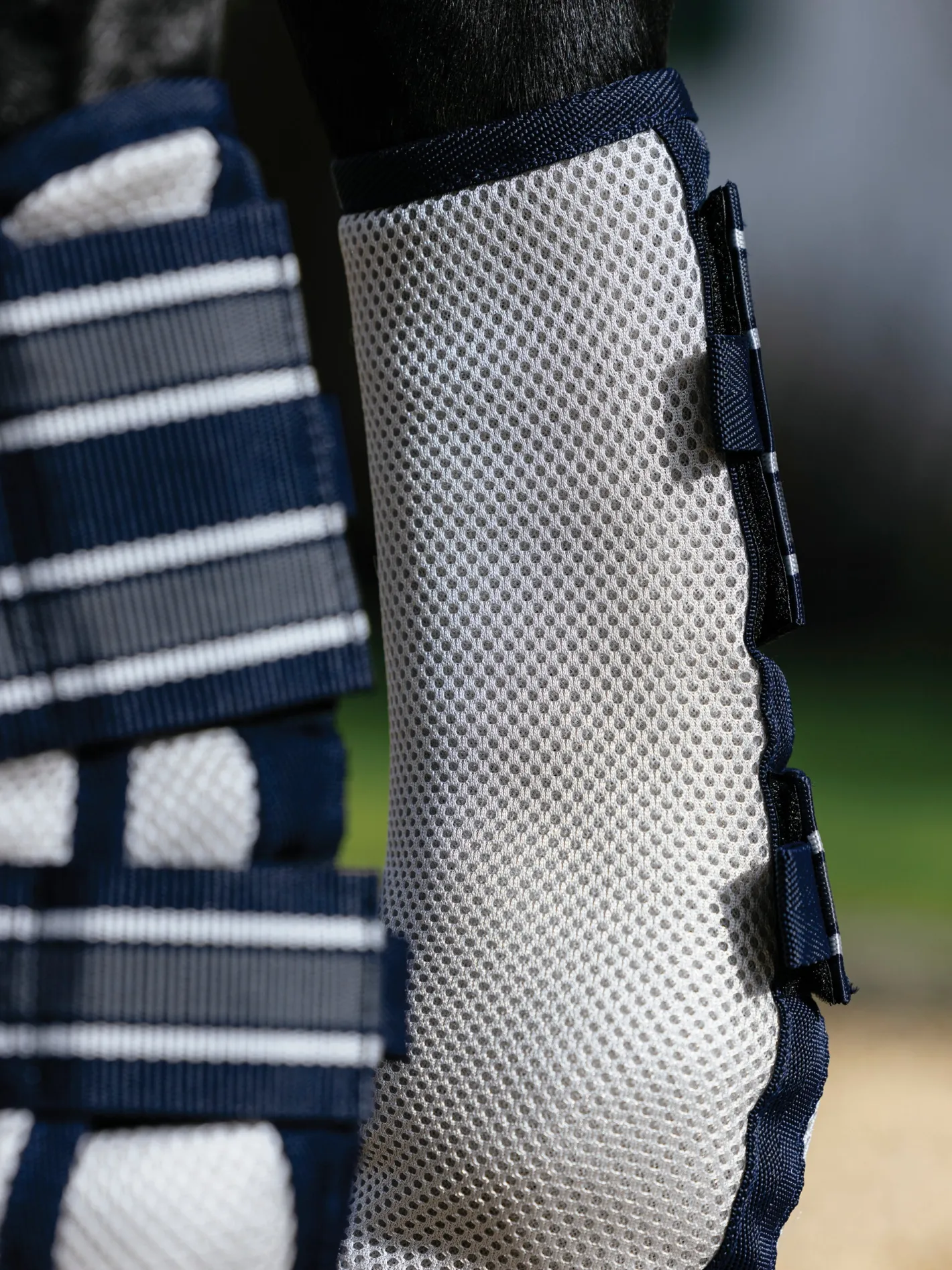 HORSE HEALTH TRADE LeMieux® Arika Mesh Fly Boots