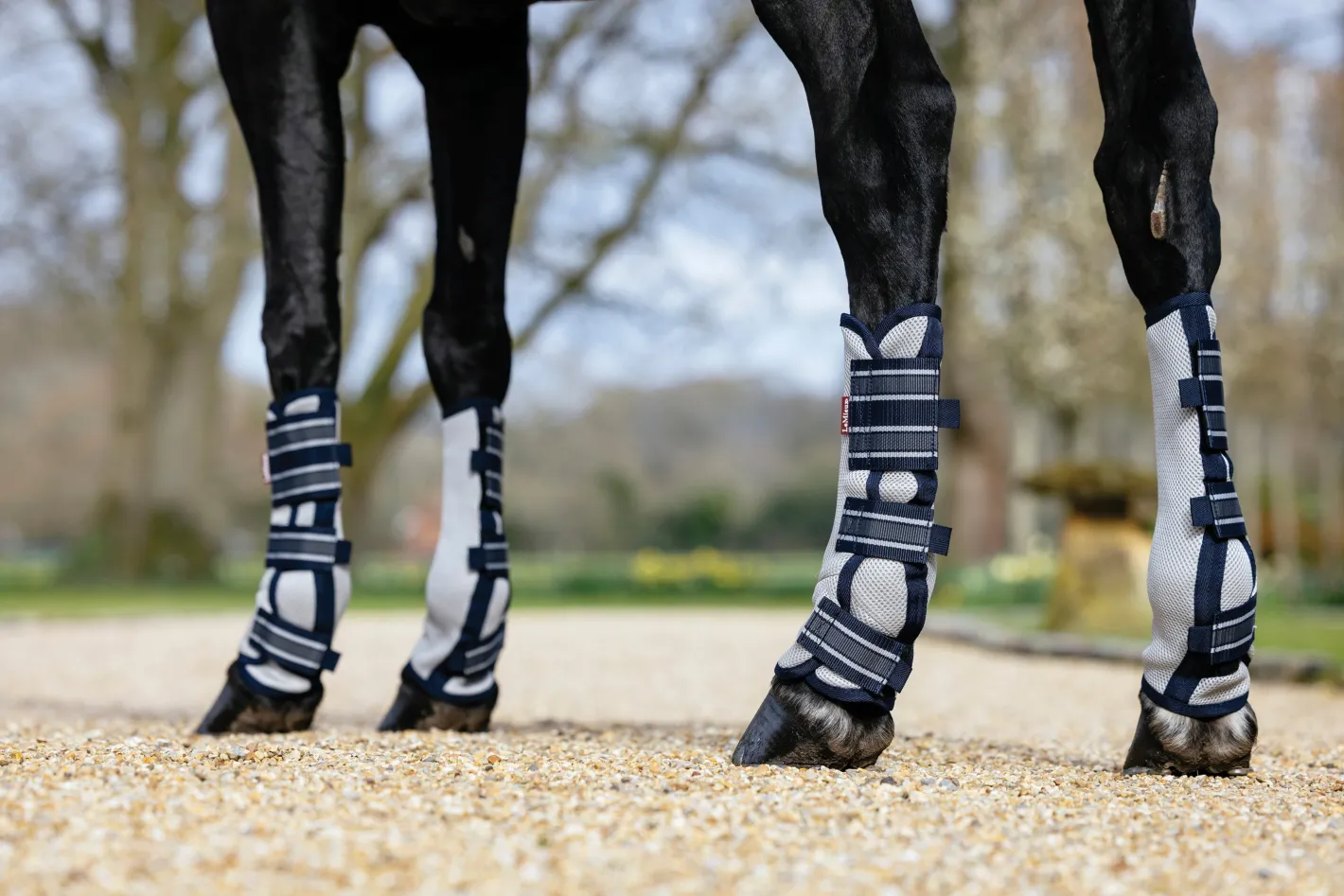 HORSE HEALTH TRADE LeMieux® Arika Mesh Fly Boots