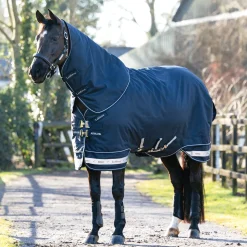 HORSE HEALTH TRADE LeMieux® Arika Storm-Tek 200 Gram Turnout Blanket with Leg Straps
