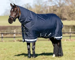 HORSE HEALTH TRADE LeMieux® Arika Storm-Tek 100 Gram Turnout Blanket with Leg Straps