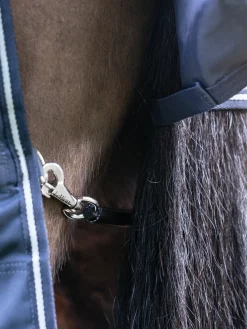 HORSE HEALTH TRADE LeMieux® Arika Storm-Tek 100 Gram Turnout Blanket with Leg Straps