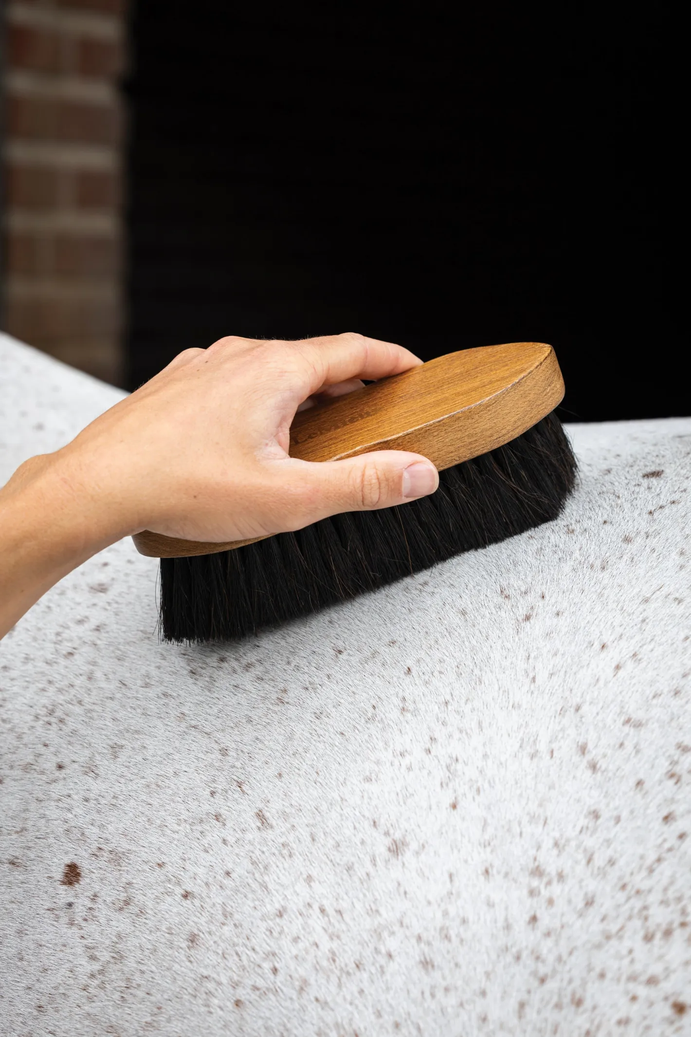 HORSE HEALTH TRADE LeMieux® Artisan Combi Body Brush
