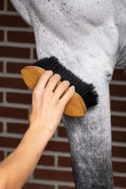 HORSE HEALTH TRADE LeMieux® Artisan Flick Brush