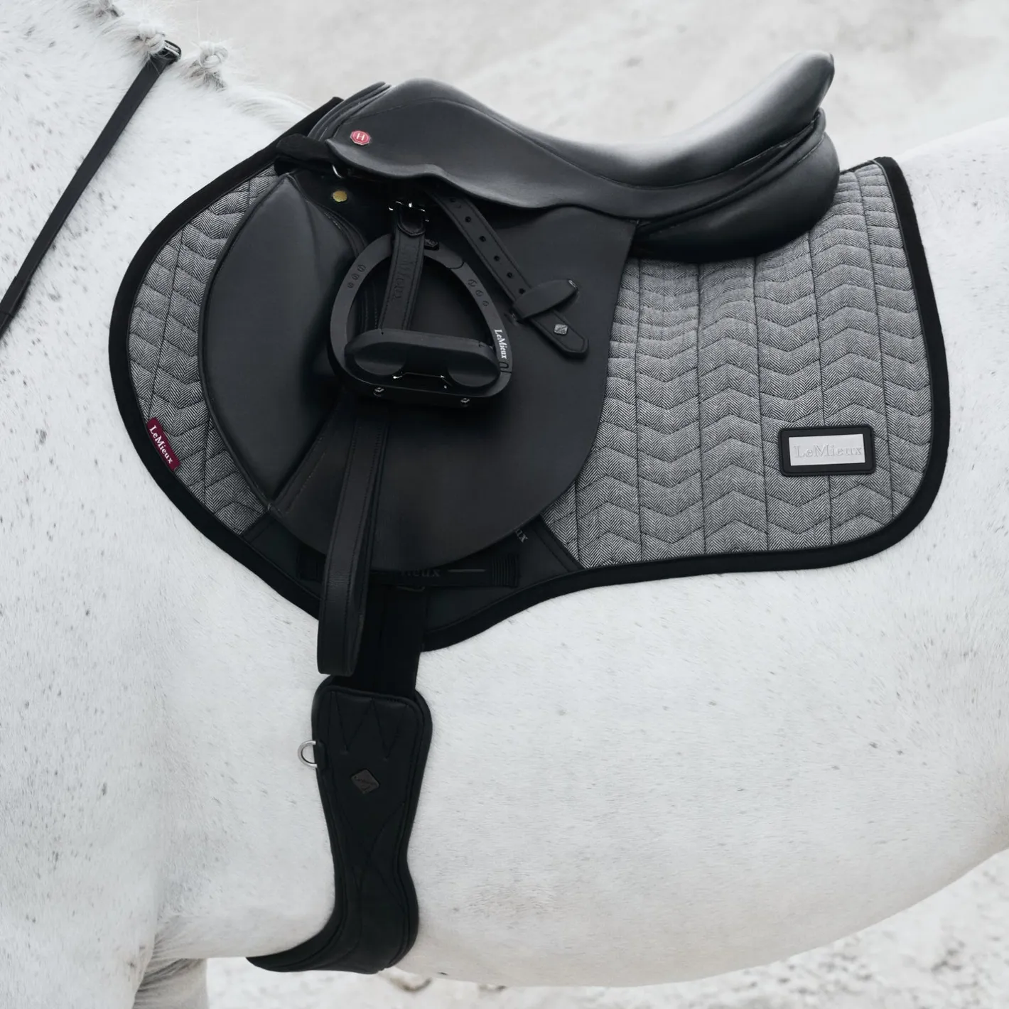 HORSE HEALTH TRADE LeMieux® Aspen Close Contact Saddle Pad
