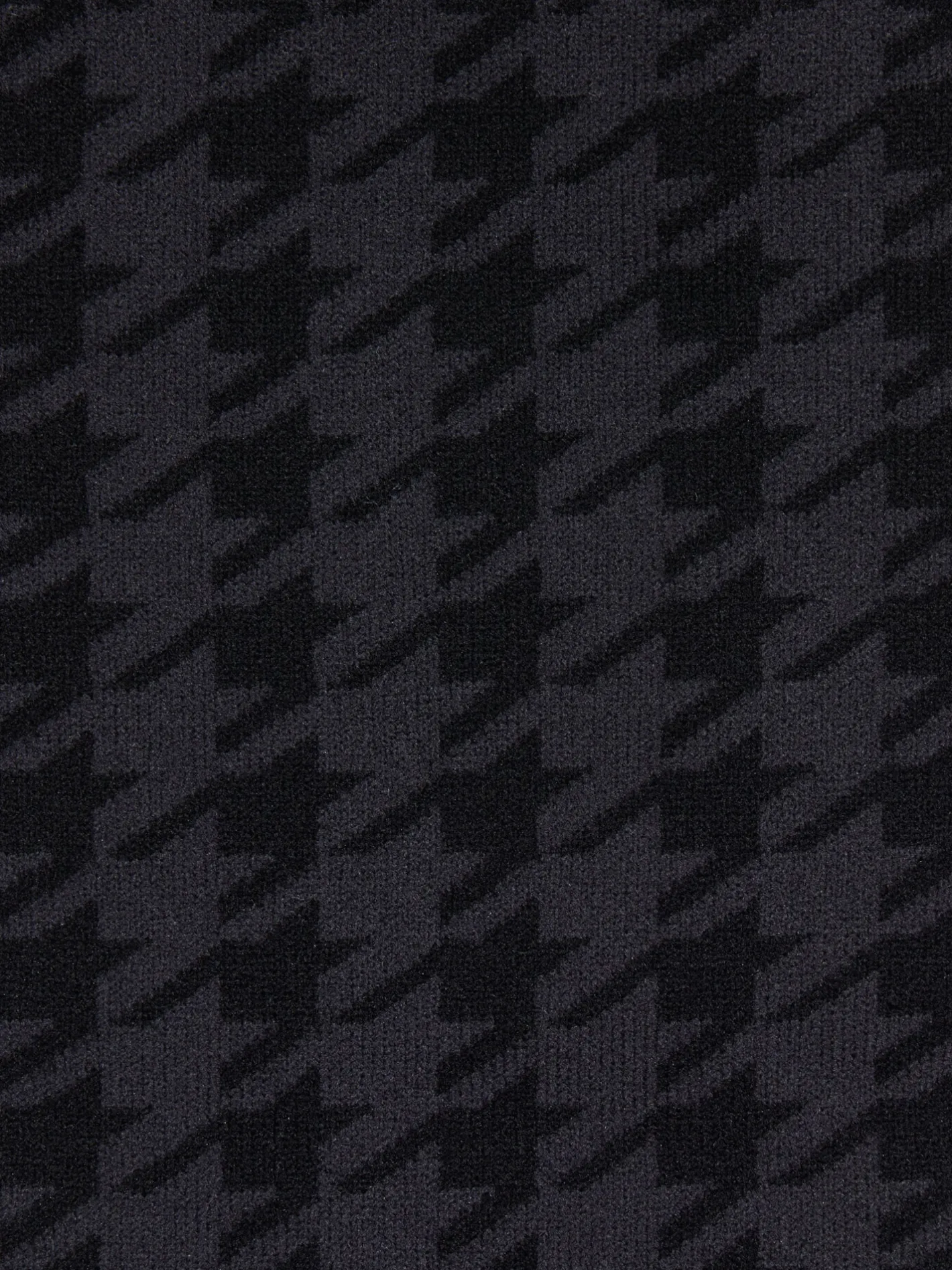 HORSE HEALTH TRADE LeMieux® Aspen Collection Sock