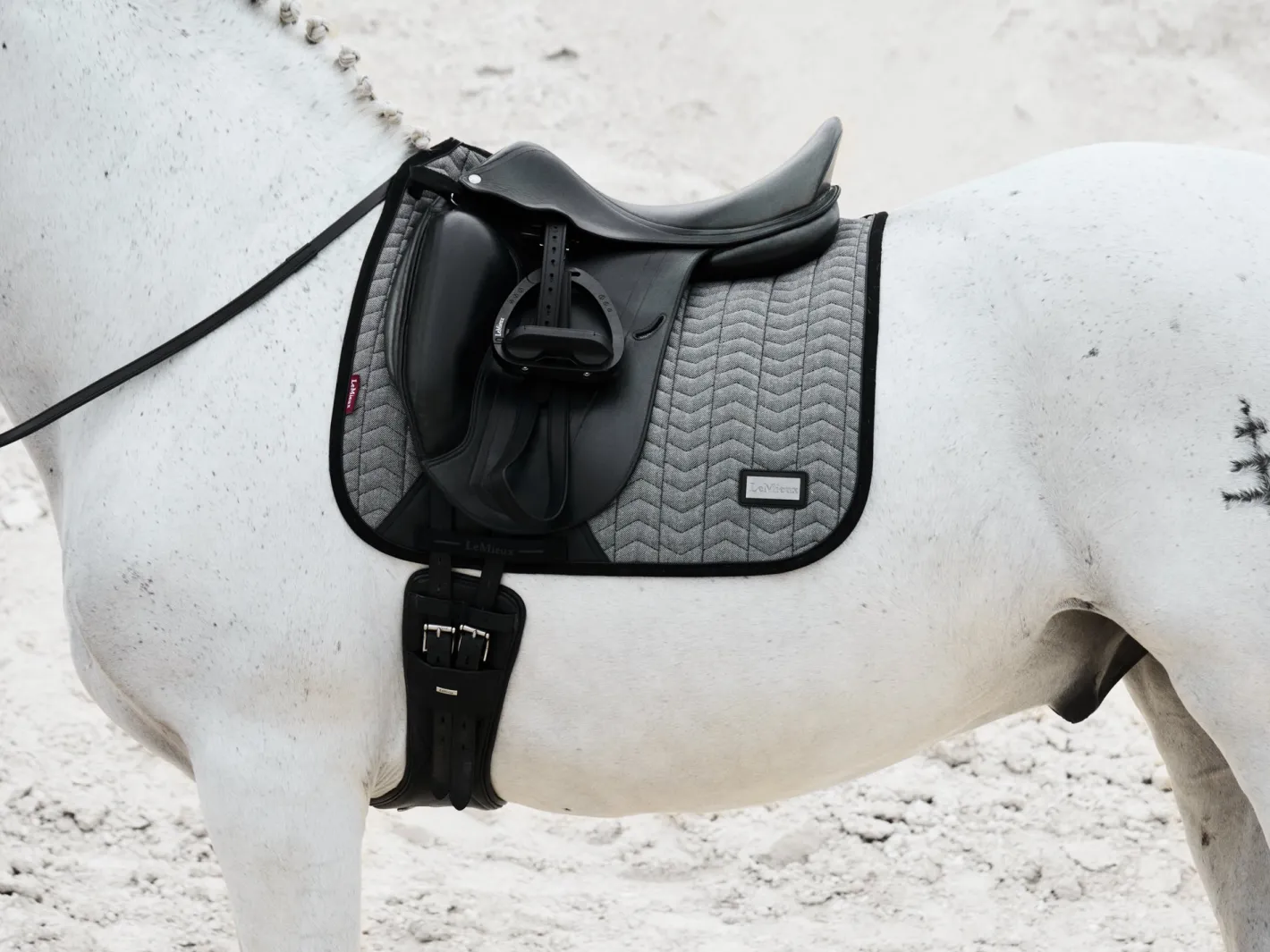HORSE HEALTH TRADE LeMieux® Aspen Dressage Saddle Pad