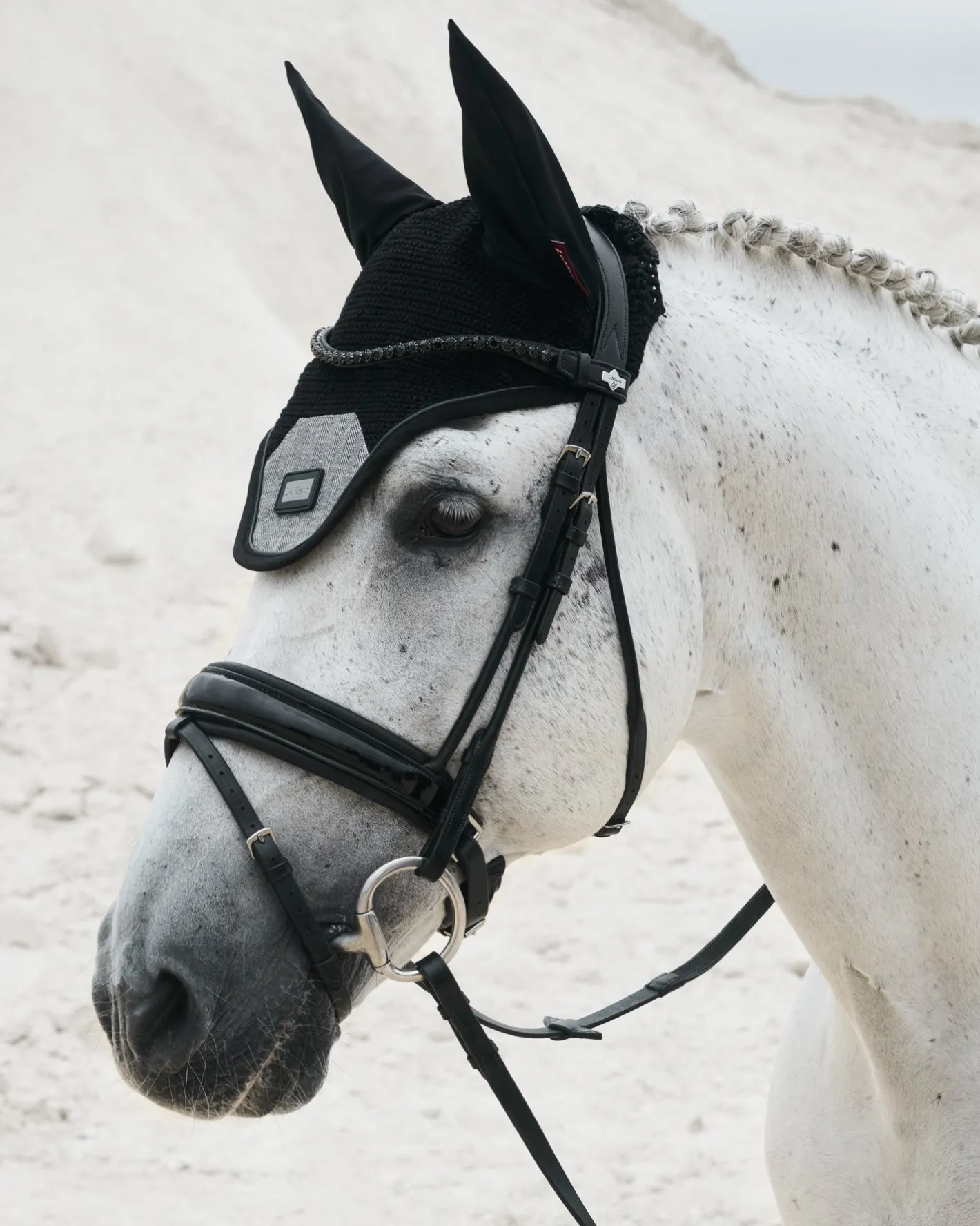 HORSE HEALTH TRADE Lemieux® Aspen Fly Bonnet