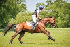 HORSE HEALTH TRADE LeMieux® Ballistic Overreach Boots