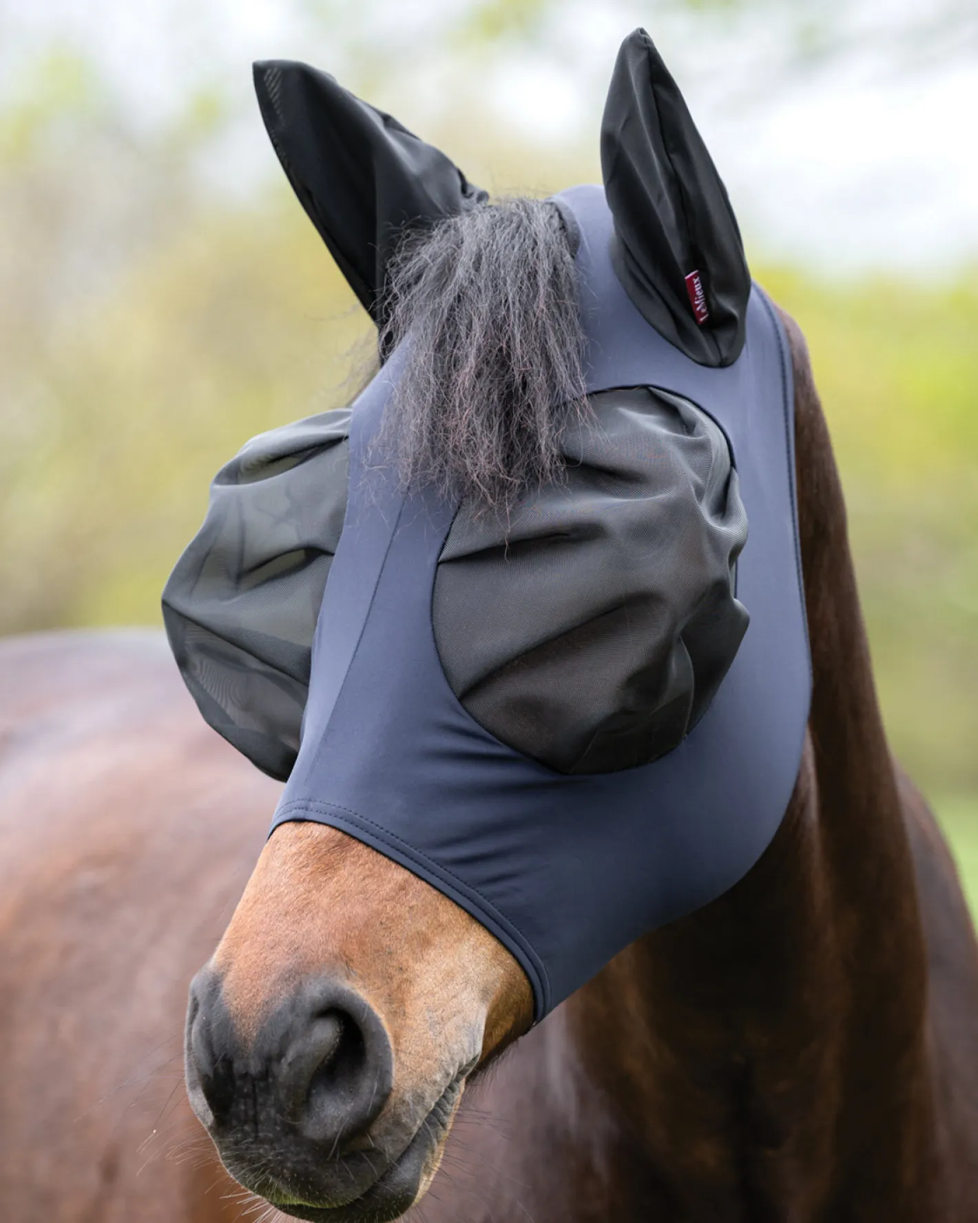 HORSE HEALTH TRADE LeMieux® Bug Relief Fly Mask